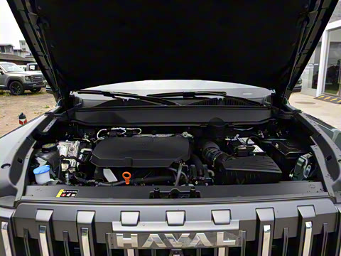 2025�� 2.0T 4WD Pro