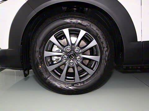 2020�� 2.0L �Զ�������