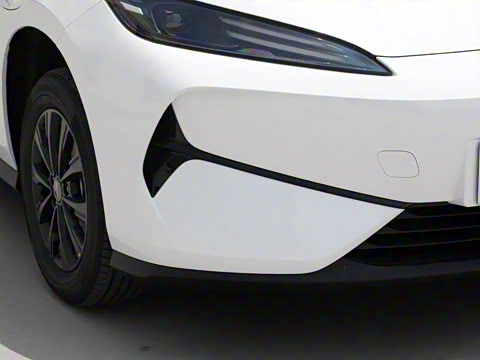 2025�� 520�ǻݰ�