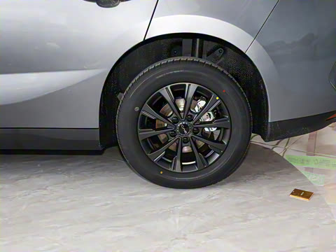 2025�� 520�ǻݰ�