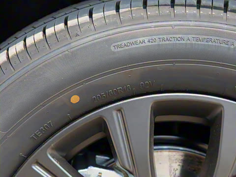 2025�� 520���а�