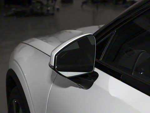 2024�� ˫���������