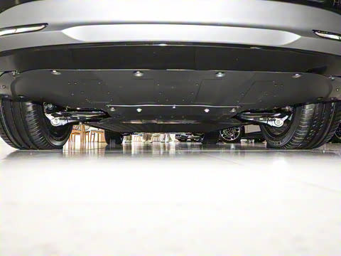 2025�� 725 �������� Max �콢��