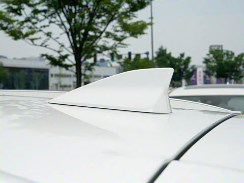 2025�� 2.0L �Զ���������Pro