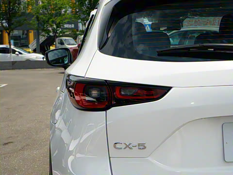 2025�� 2.0L �Զ���������Pro