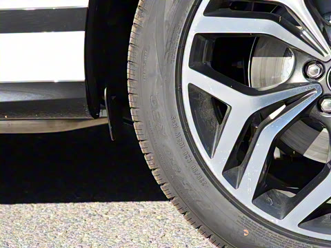 2021�� ����L P300e ������