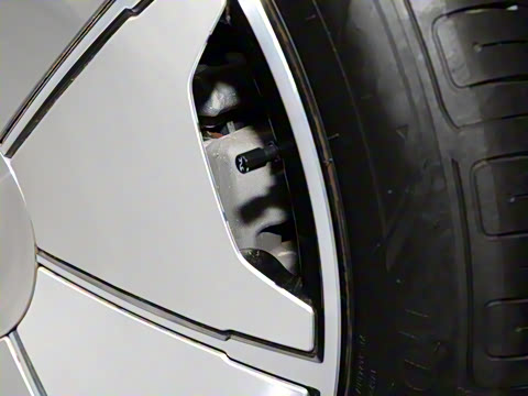 2025�� ������