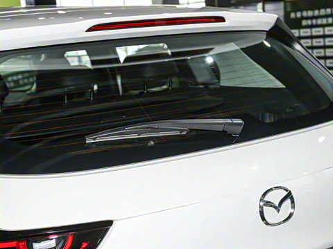 2023�� 2.0L ���а�