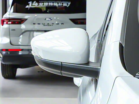 2024�� EcoBoost 245 ����������