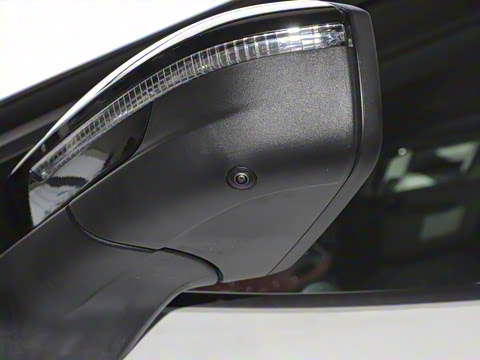 2025�� ������������ʿPRO��