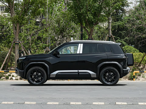 2025�� 501KM ����Max��