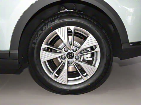 2025�� 565km ������