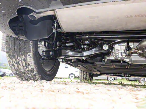 2025�� 135 �����ܼ����״��