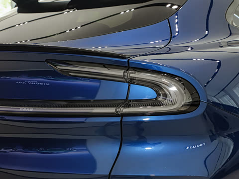 2025�� ��������������