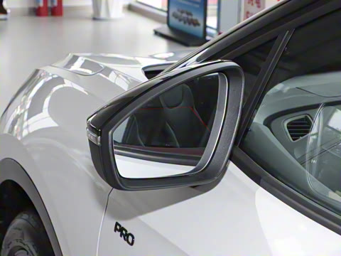 2025�� ������������ʿPRO��