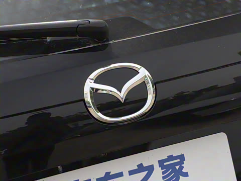 2024�� 2.0L �Զ�����������