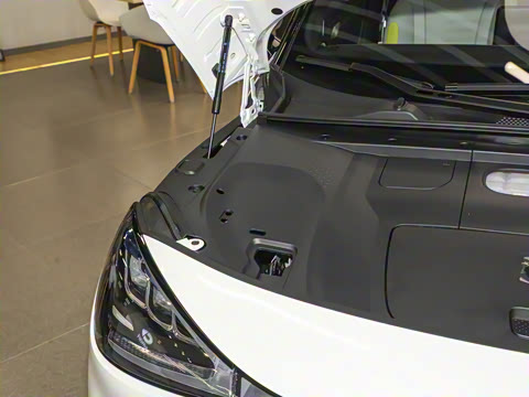 2026�� �鶯������