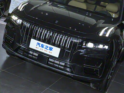 2025�� 2.0TD EM-P ����Max ����