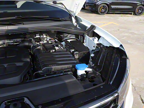 2025�� �Ŀ� ������ 330TSI