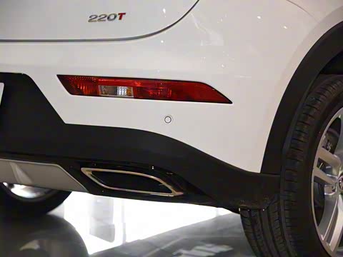 2019�� 220T �ֶ��ǻ��� ��V