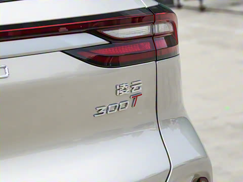 2025�� 300T ������ҹ��