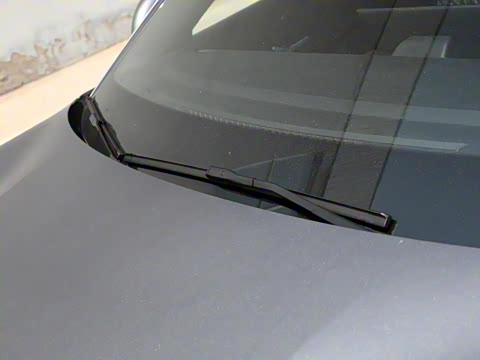 2025�� 520���а�