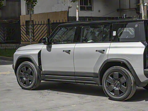 2025�� 501���������