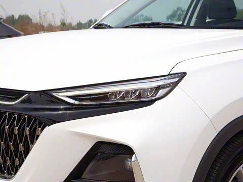 2023�� ������ 1.5T�ֶ������� 7��