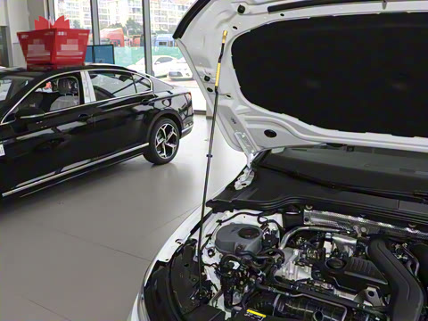 2025�� �Ŀ� 300TSI Pro