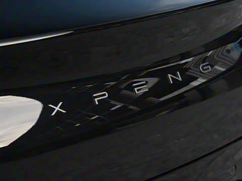 2025�� 502 ������ Max