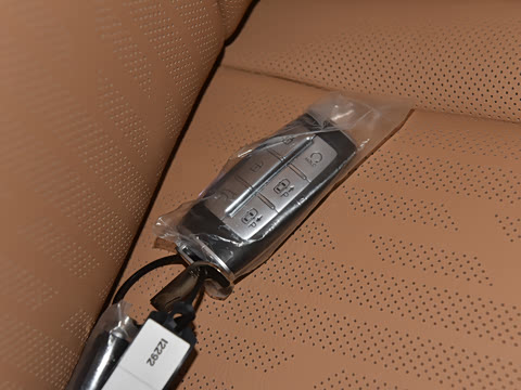 2021�� 2.5T ����������