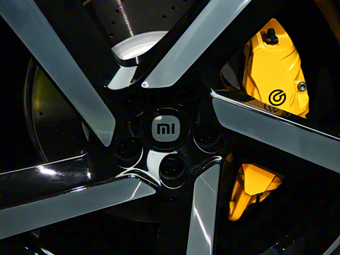 2025�� ������������������Max��