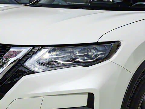 2025�� ���� 2.0L �������Ȱ�