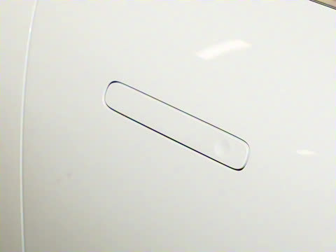 2026�� �鶯������