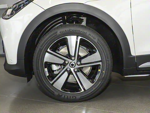 2026�� �鶯������