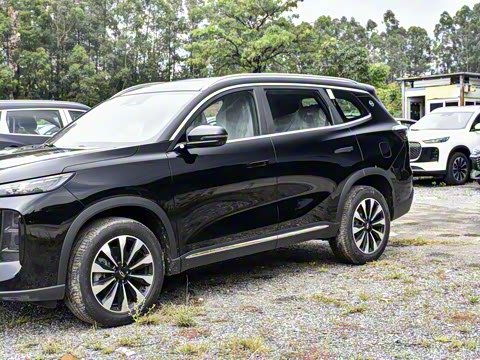 2025�� 290TGDI DCT����� 7��