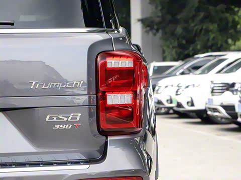 2020�� 390T �������������棨������