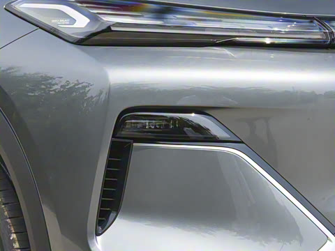 2025�� 55km ������