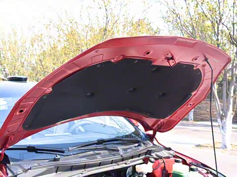 2019�� ������