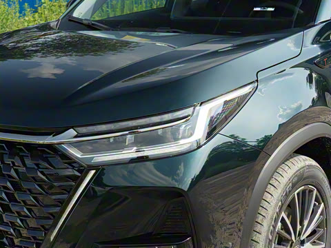 2024�� �ھ��� 290T �����۷�� 5��