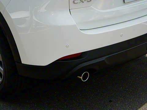 2025�� 2.0L �Զ���������Pro