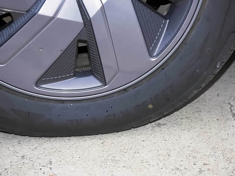 2024�� ������ ��ɽ������