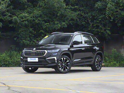 2025�� TSI380 7�������콢��