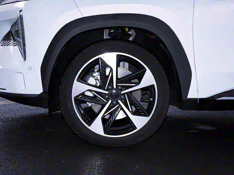 2023�� 1.5T 115km ���˻�Ӱ��