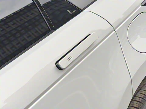 2022�� ����L P300e ���ʽ�綯��ϰ�