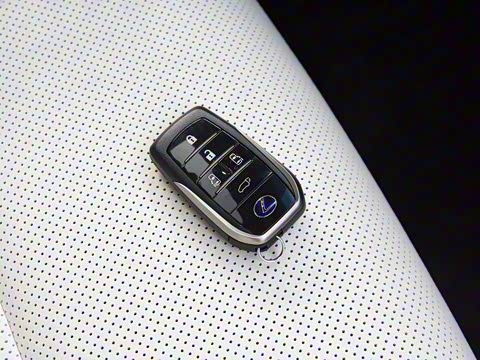 2020�� 300h ����������