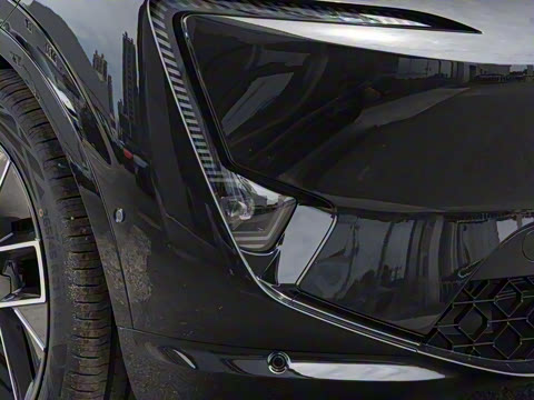 2025�� Max ���������