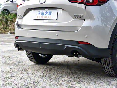 2025�� 2.0L �Զ���������Pro