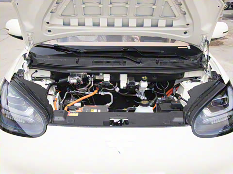 2025�� 333km ������