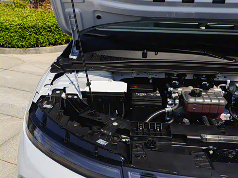 2025�� 650�����״��